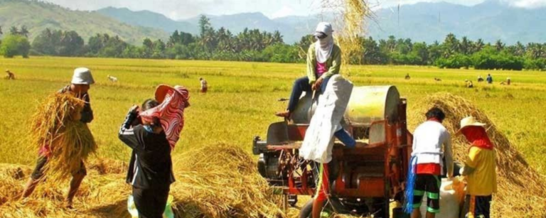 Mga magsasaka, nanawagan ng libreng abono sa DA