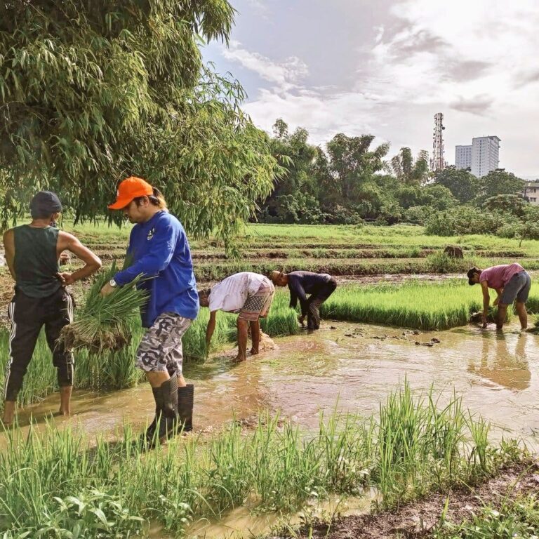 “National Farmer’ Day Bill,” suportado ng mga magsasaka