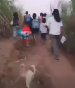 Mahigit 600 Nagbakwit sa Negros sa Gitna ng Lumalalang Militarisasyon